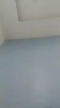 Snapshot of Dexiboy chatting on January 2025 05:31:01 PM Dexiboy online show from January 2025 05:31:01 PM