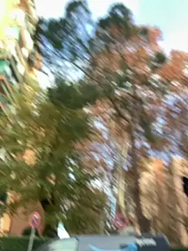 Ryan-hot online show from December 2024 02:33:01 PM