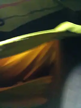 Snapshot of BrownPrez chatting on December 2024 01:58:02 AM BrownPrez online show from December 2024 01:58:02 AM