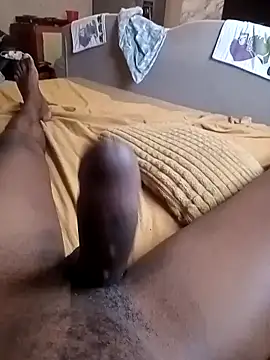 Snapshot of Lexwelll chatting on March 2026 08:47:02 AM Lexwelll online show from March 2026 08:47:02 AM