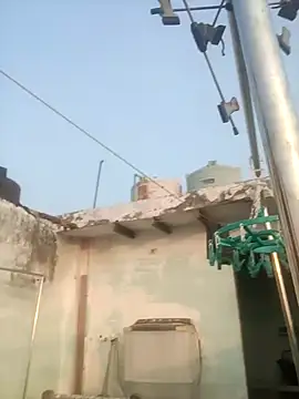 Snapshot of sailord chatting on January 2025 11:30:02 AM sailord online show from January 2025 11:30:02 AM