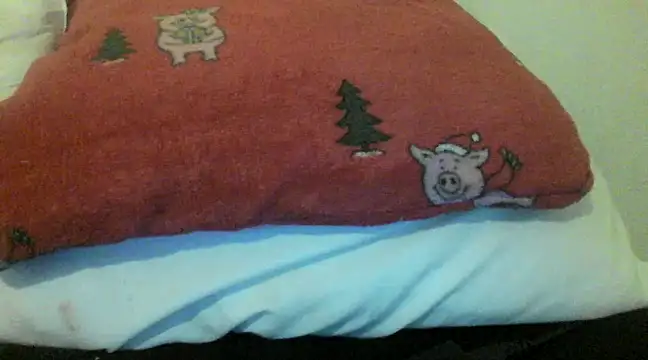 bunnyamy online show from December 2024 06:00:02 PM