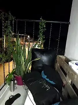 milf venus online show from December 2024 03:12:01 AM