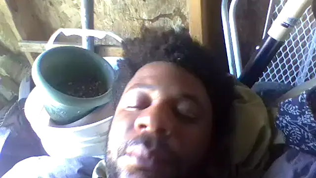 Snapshot of dvaughn3117 chatting on July 2026 08:13:02 PM dvaughn3117 online show from July 2026 08:13:02 PM