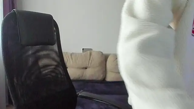 Ostin meow online show from November 2025 07:08:02 AM