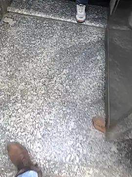 faaseel online show from February 2025 08:19:02 AM