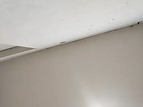 Snapshot of cerejinha_hot chatting on December 2024 01:58:02 AM cerejinha hot online show from December 2024 01:58:02 AM