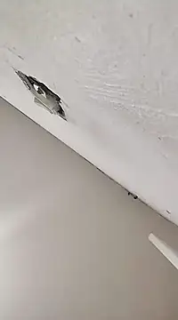 Snapshot of cerejinha_hot chatting on December 2024 04:34:02 AM cerejinha hot online show from December 2024 04:34:02 AM