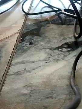 imissyoumylove14 online show from February 2026 07:56:01 AM