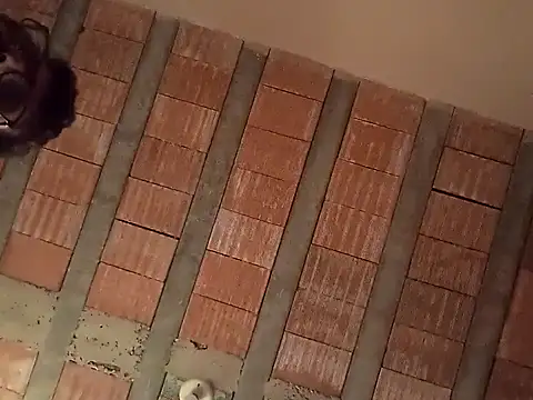 jtf4055 online show from September 2025 09:42:02 AM