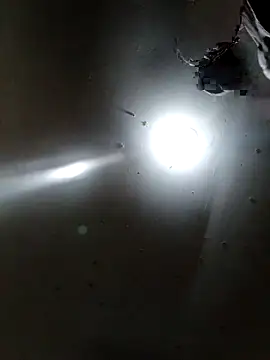 Snapshot of Innsaciable chatting on April 2026 11:31:02 PM Innsaciable online show from April 2026 11:31:02 PM