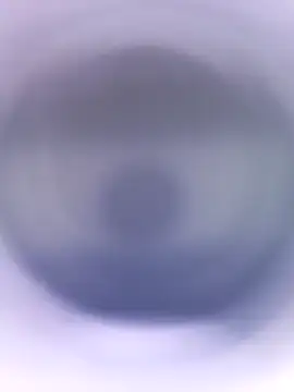 Snapshot of Lorrain_Dorrie chatting on January 2025 04:52:02 PM Lorrain Dorrie online show from January 2025 04:52:02 PM