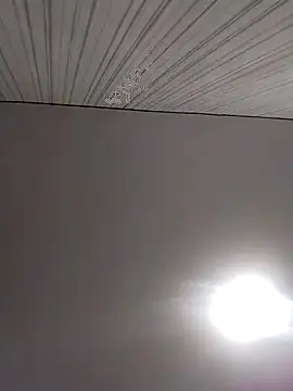 Snapshot of Lorrain_Dorrie chatting on December 2025 06:30:02 AM Lorrain Dorrie online show from December 2025 06:30:02 AM