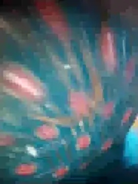 Snapshot of Ruby_Sc chatting on December 2024 01:36:02 PM Ruby Sc online show from December 2024 01:36:02 PM