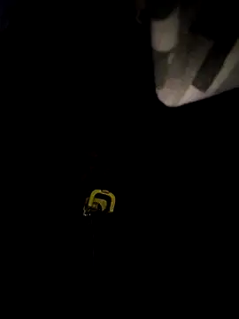 sanek1995sexx online show from September 2025 02:39:02 AM