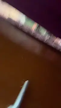 nick  yy online show from February 2026 05:03:01 AM