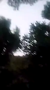 Snapshot of Danna-linyi chatting on December 2024 11:37:01 PM Danna-linyi online show from December 2024 11:37:01 PM