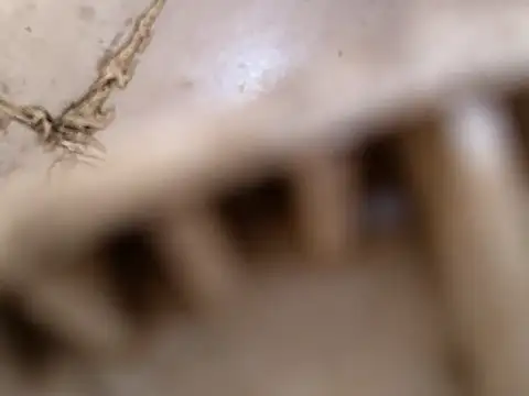 Snapshot of small131 chatting on March 2025 06:29:01 AM small131 online show from March 2025 06:29:01 AM