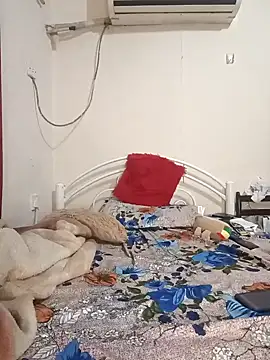 arabgayjor online show from December 2024 01:02:02 AM