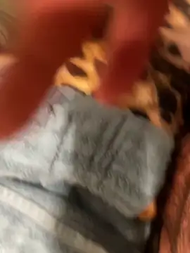 Snapshot of edgher646 chatting on October 2025 08:55:02 AM edgher646 online show from October 2025 08:55:02 AM