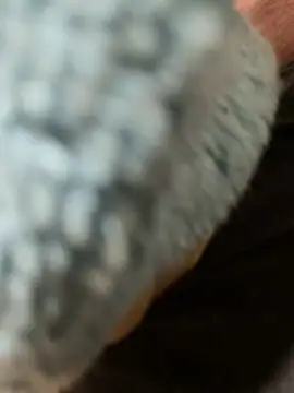 Snapshot of edgher646 chatting on February 2026 11:21:01 AM edgher646 online show from February 2026 11:21:01 AM