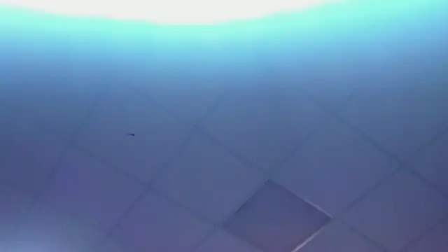 Lexy-Woorhez online show from February 2025 01:36:01 PM