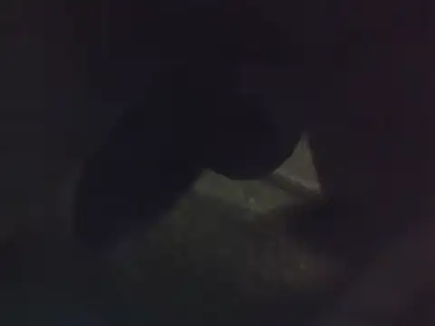 Snapshot of Penis58 chatting on December 2024 12:16:02 PM Penis58 online show from December 2024 12:16:02 PM