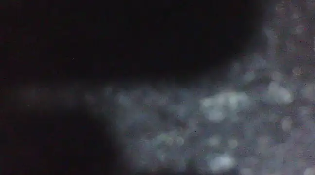 Snapshot of Penis58 chatting on February 2025 06:56:02 PM Penis58 online show from February 2025 06:56:02 PM