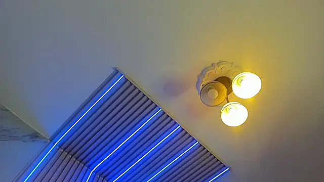 Snapshot of misscheelsee chatting on March 2025 07:26:02 PM misscheelsee online show from March 2025 07:26:02 PM