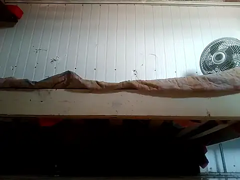 Snapshot of frotasso chatting on February 2026 03:23:02 PM frotasso online show from February 2026 03:23:02 PM