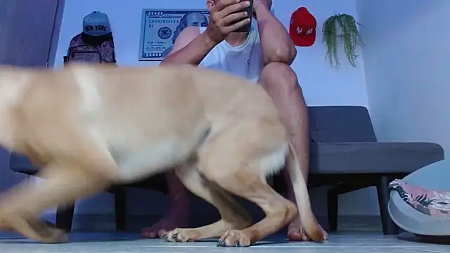 boss of cash online show from April 2026 08:28:02 PM