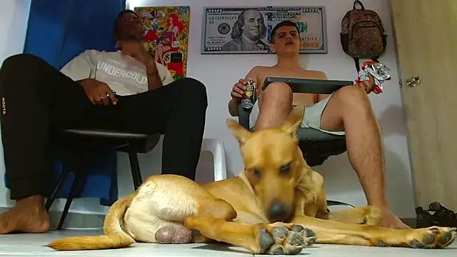 boss of cash online show from July 2026 06:24:02 PM