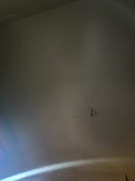 Jiimy2fois online show from March 2026 09:39:02 AM