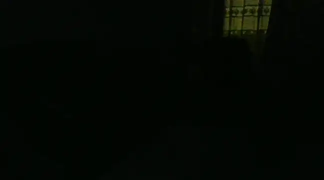 farock online show from December 2024 05:59:02 AM