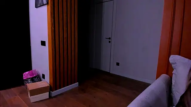 Snapshot of project_barbara chatting on March 2025 04:51:02 PM project barbara online show from March 2025 04:51:02 PM