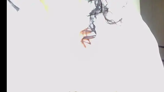 arianna ros3 online show from February 2026 02:18:02 AM