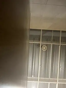 MayaMystic online show from February 2025 12:16:01 PM