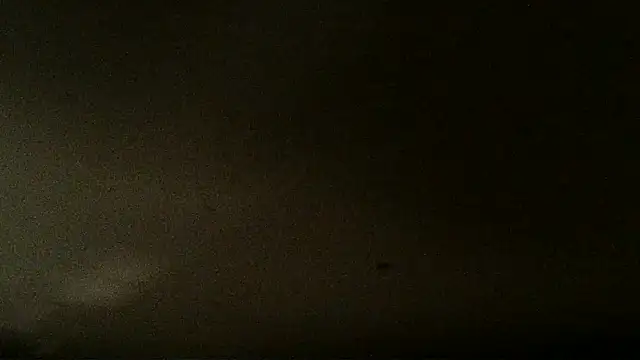 teek1234 1 online show from January 2025 04:54:01 AM