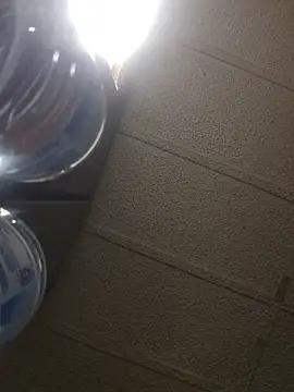 zaneporter46 online show from February 2026 05:36:02 AM