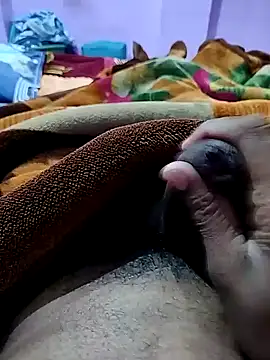 PLAYBOYYRAAJ online show from December 2024 03:13:01 PM