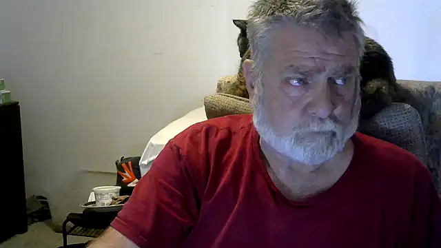 viejo oso online show from November 2025 04:11:02 PM