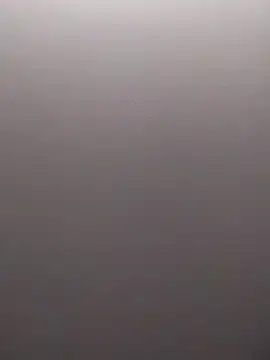 StarSex22 online show from February 2025 03:45:01 AM