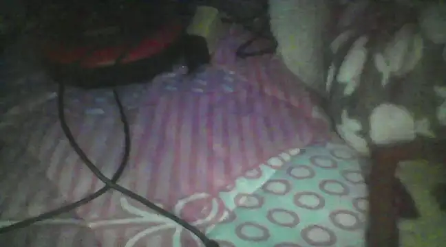 Snapshot of eriroyr chatting on January 2025 03:35:01 PM eriroyr online show from January 2025 03:35:01 PM