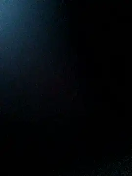 Snapshot of carria_homes chatting on March 2025 08:48:01 AM carria homes online show from March 2025 08:48:01 AM