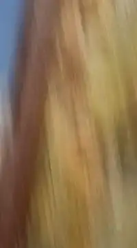 Snapshot of mksharma-mastlund chatting on January 2025 03:48:01 AM mksharma-mastlund online show from January 2025 03:48:01 AM