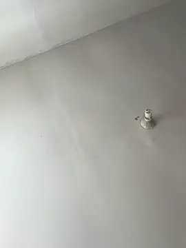 Snapshot of lunagonzales_lima_2007 chatting on February 2025 08:38:02 PM lunagonzales lima 2007 online show from February 2025 08:38:02 PM