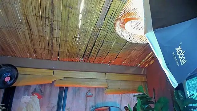 Snapshot of MarcoVitto chatting on November 2025 07:29:02 PM MarcoVitto online show from November 2025 07:29:02 PM