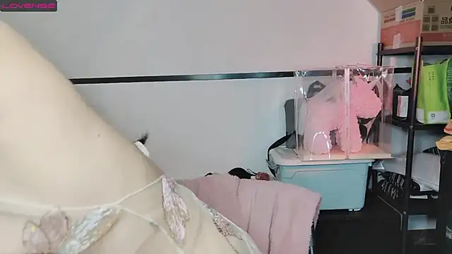 Snapshot of diandian-866 chatting on February 2025 02:24:02 PM diandian-866 online show from February 2025 02:24:02 PM