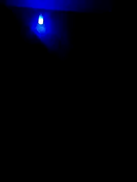 dreamers dick online show from January 2025 07:18:02 PM