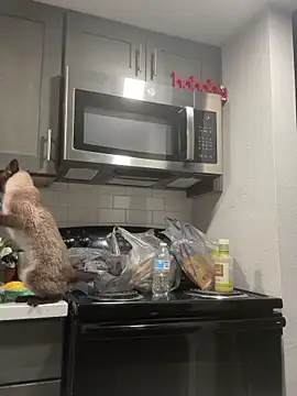 ParkerGYATT online show from April 2026 12:54:02 AM